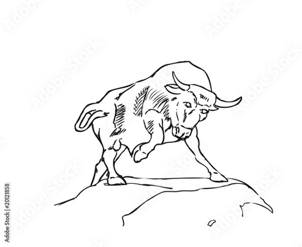 Obraz bull