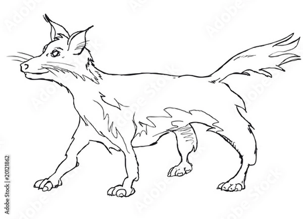 Obraz vector fox vulpes vulpes fulva