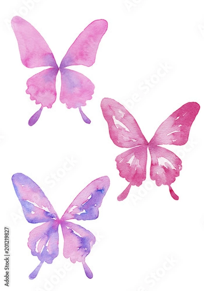 Fototapeta アゲハ蝶のセット　水彩イラスト