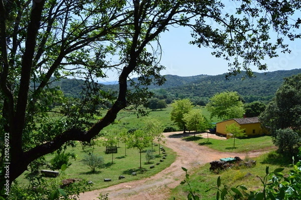 Obraz Paisaje