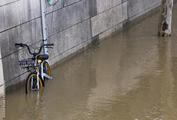 Obraz Crue dans La Seine