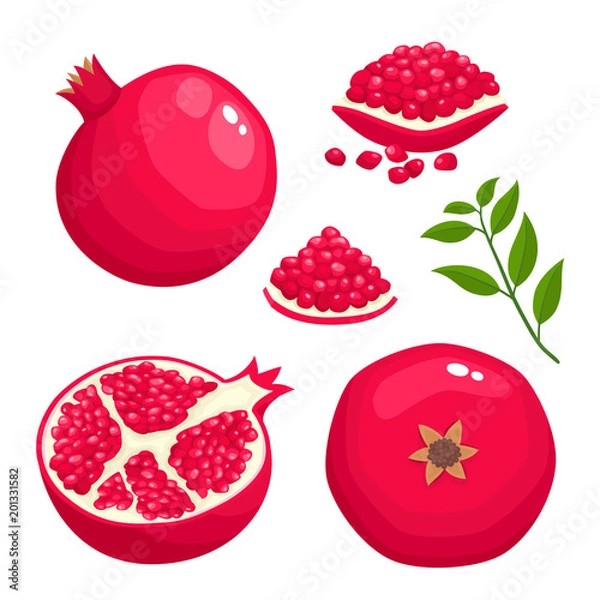 Obraz Bright vector set of colorful juice pomegranate isolated on white.