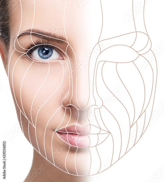 Fototapeta Graphic lines showing facial lifting effect on skin.