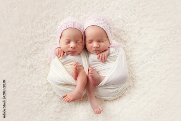 Obraz Newborn twin sisters sleep