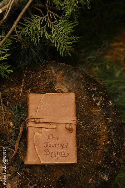 Obraz leather joural outside on a log