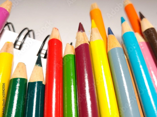 Obraz Hand Sharpened Colored Pencils