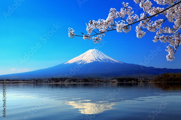 Obraz 富士山と河口湖に写る逆さ富士に桜の花