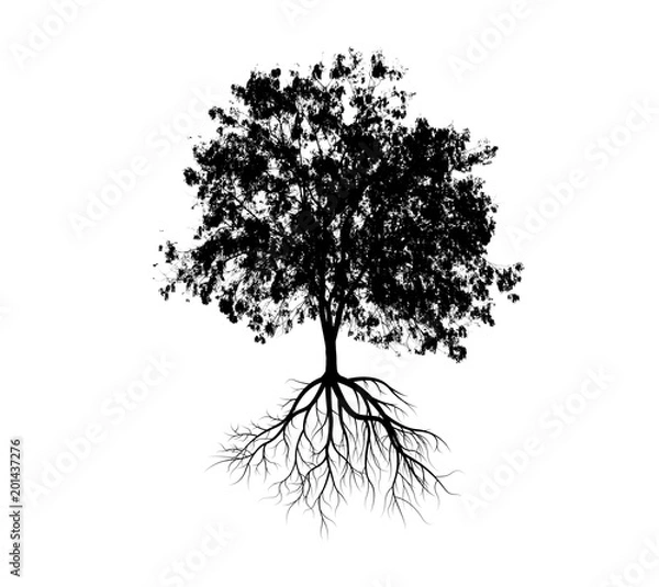 Obraz big tree silhouettes