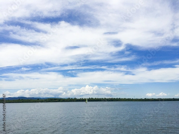 Fototapeta 静かなる夏