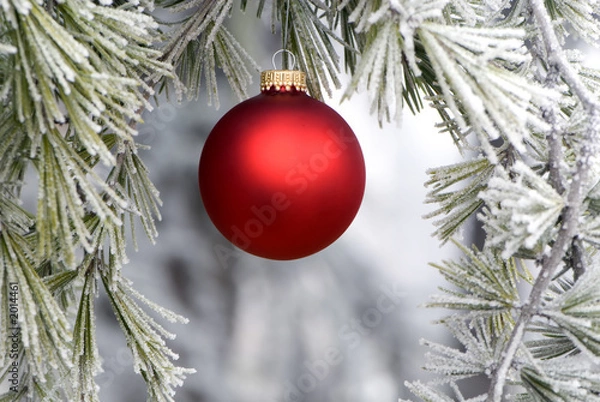 Fototapeta red ornament 1