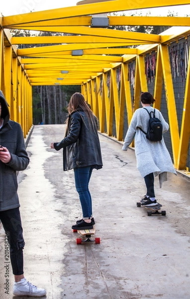 Obraz Merginos on the Skateboard