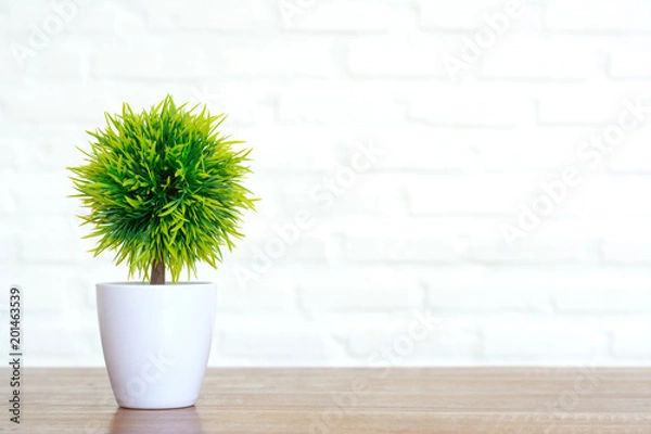 Obraz Small tree on the table with copy space