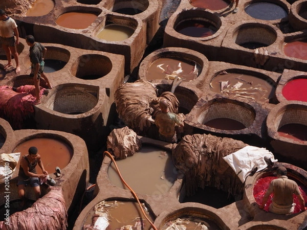 Obraz OLYMPUS DIGITAL CAMERA