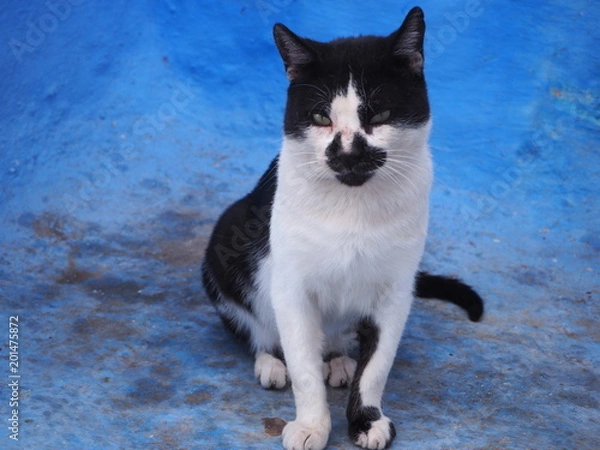 Obraz OLYMPUS DIGITAL CAMERA