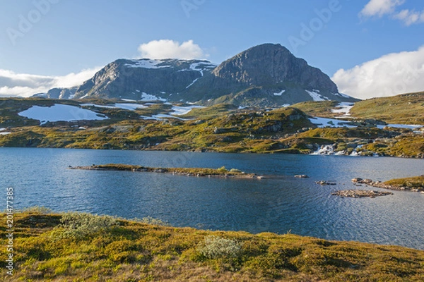 Fototapeta Magnificent view of a mountain plateau Hardangervidda with numerous lakes and rivers in summer time on snow mounts background, Norway national park