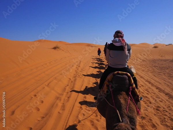 Obraz OLYMPUS DIGITAL CAMERA