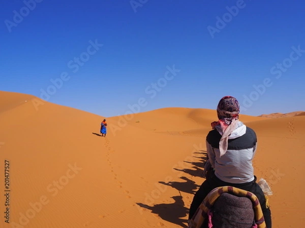 Obraz OLYMPUS DIGITAL CAMERA