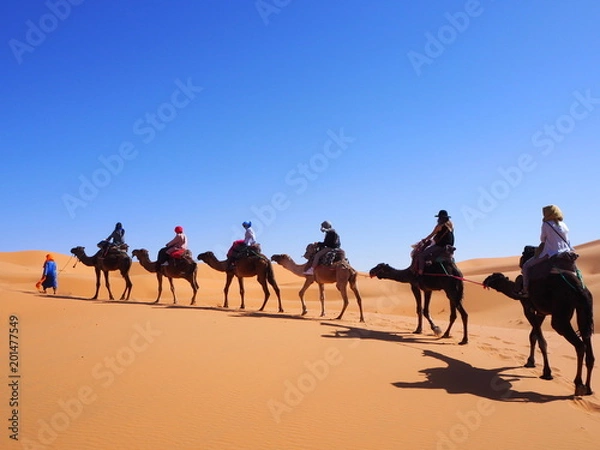 Obraz OLYMPUS DIGITAL CAMERA