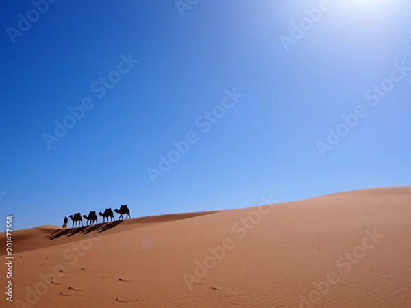 Obraz OLYMPUS DIGITAL CAMERA