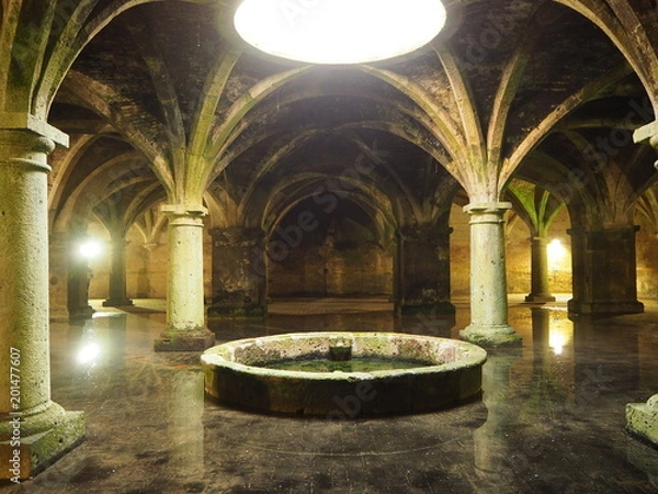 Obraz OLYMPUS DIGITAL CAMERA