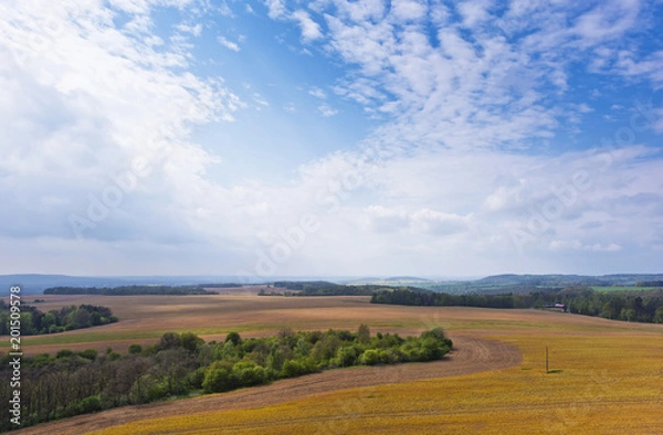 Fototapeta Spring landscape with field, forest and sky