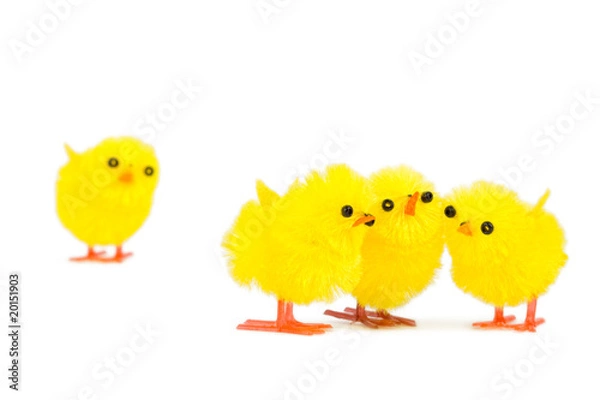 Fototapeta three chick friends ignoring poor chick outsider