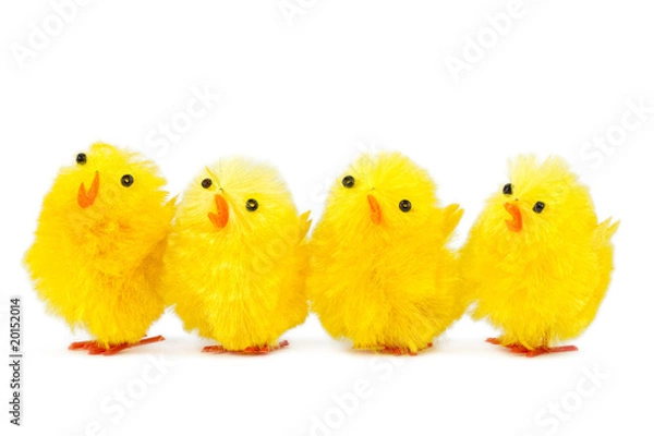 Obraz four singing chicks