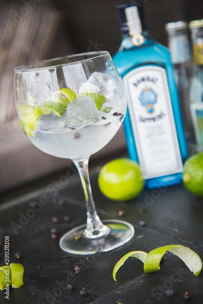Obraz Gin & Tonic