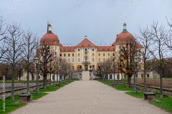 Obraz Castle Moritzburg, Germany near Dresden