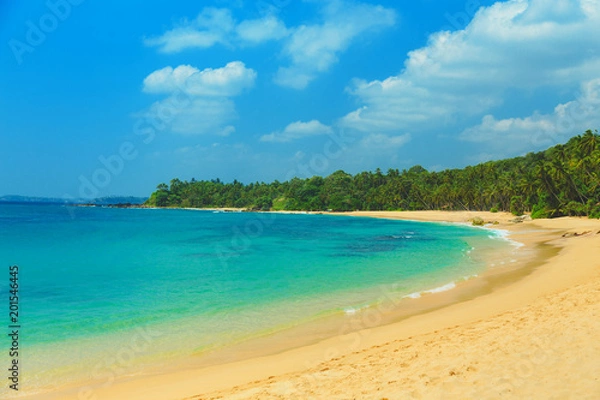 Obraz blue ocean with yellow sand and palm trees