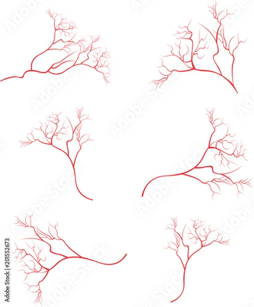 Obraz Human eye veins, vessel, blood arteries isolated on white vector. Set of blood veins, image of health red veins illustration.