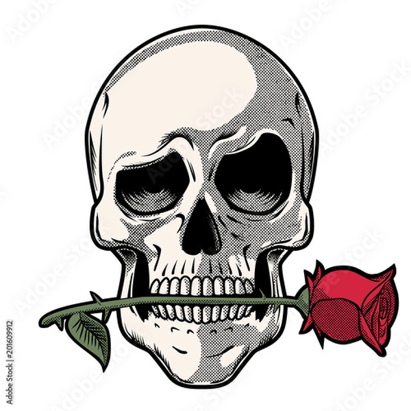 Obraz Hand Drawn Skull with a Rose - Skull with funny look holding a rose between his teeth