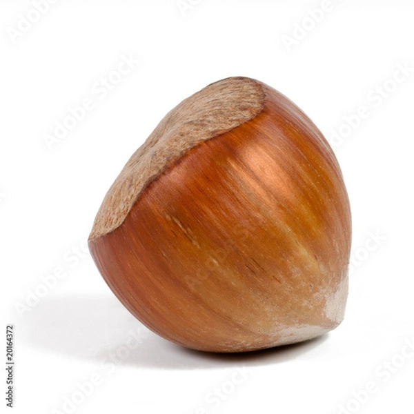 Obraz Haselnuss