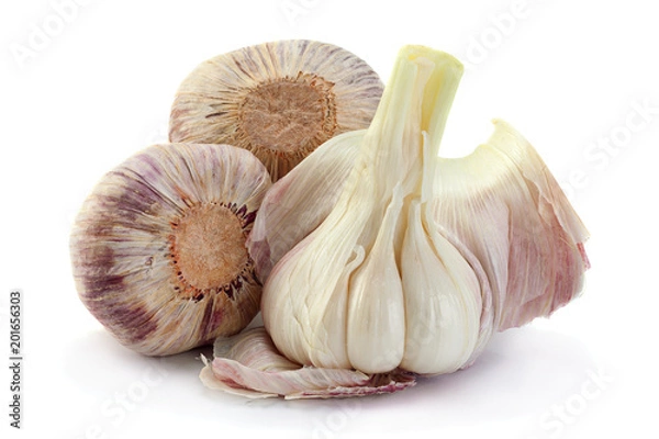 Obraz Young big garlic on white