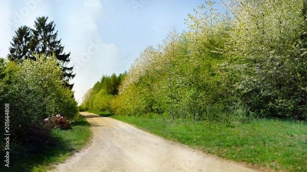 Obraz Spring in Germany