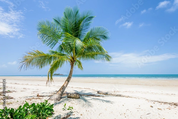 Fototapeta Magical palm trees view on warm summer day at a relaxing beach with white sand and crystal clear water and a rain forest in the background with coconut palms near wild ocean sea, Daintree, Australia