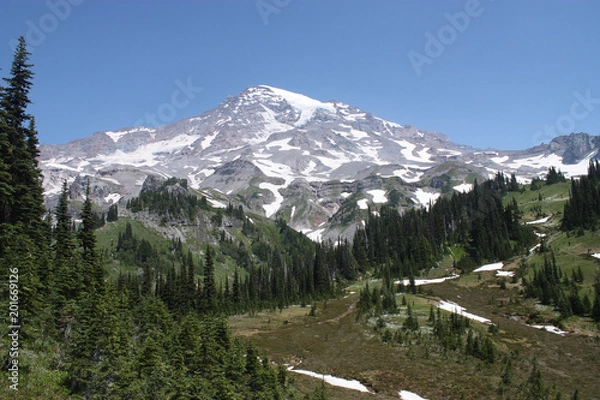 Obraz Washington State