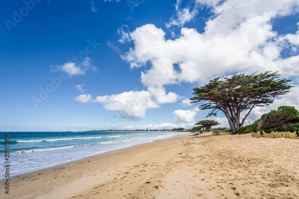 Fototapeta Relaxing at the blue Bass Strait sea and enjoying a warm sunny beach view over blue sky water of Great Ocean Road with a few clouds horizon over small town Apollo Bay, Melbourne, Victoria, Australia