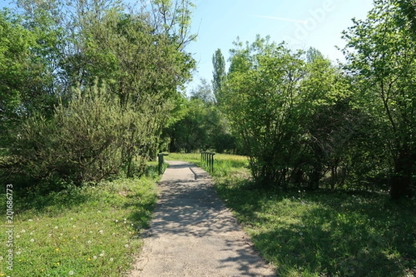 Fototapeta Pathway in the Parc du Bachais