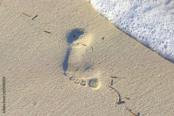 Obraz trace from a bare foot in the sand
