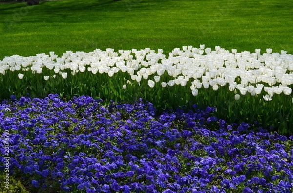 Obraz flowerbed 2