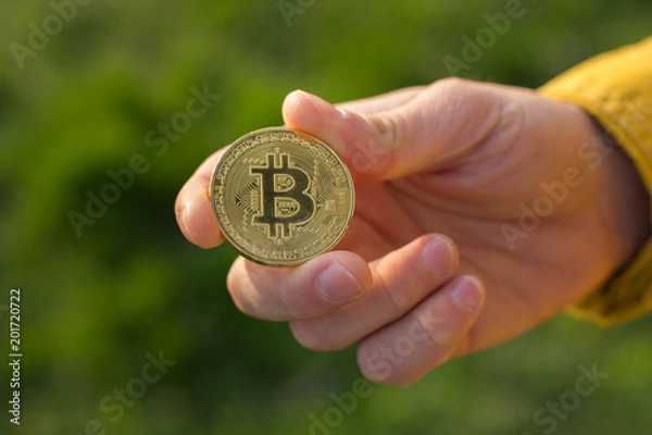 Fototapeta Bitcoin in hand on the green background