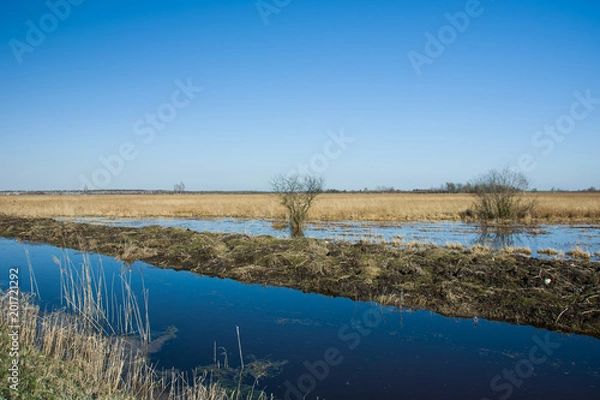 Fototapeta Flooded wild meadow