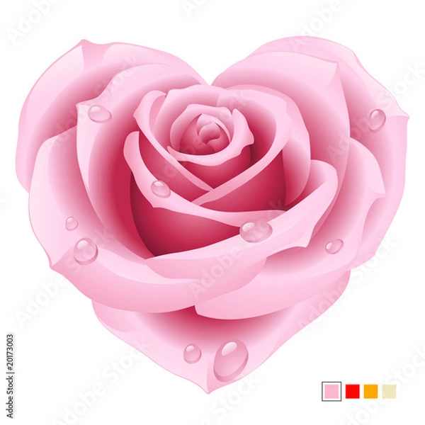Obraz Pink Rose in the shape of heart