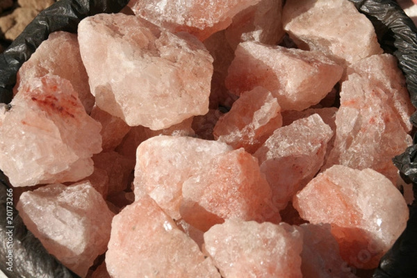 Obraz Rosa Salzgestein