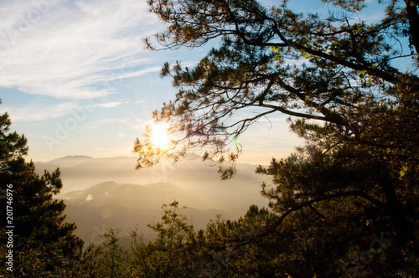 Fototapeta Beautiful mountain valley in Baguio, Luzon, Phillippines