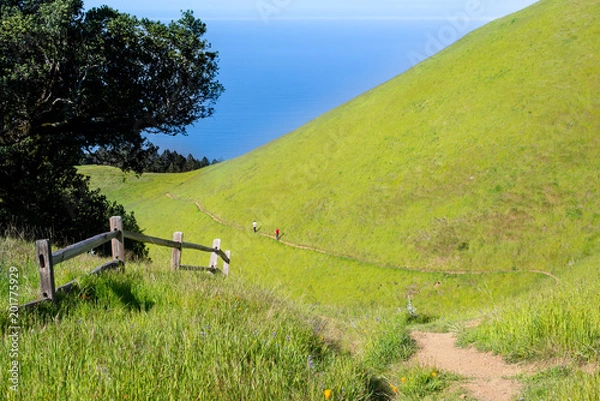 Obraz Hiking on Mt Tam in Spring