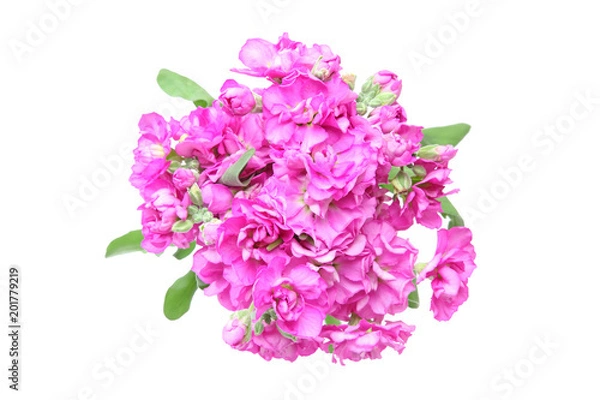 Fototapeta ストック