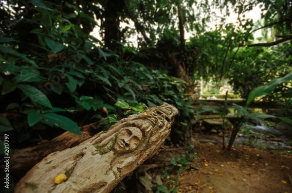 Obraz jamaica jungle trail