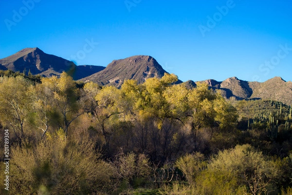 Obraz Desert landscape